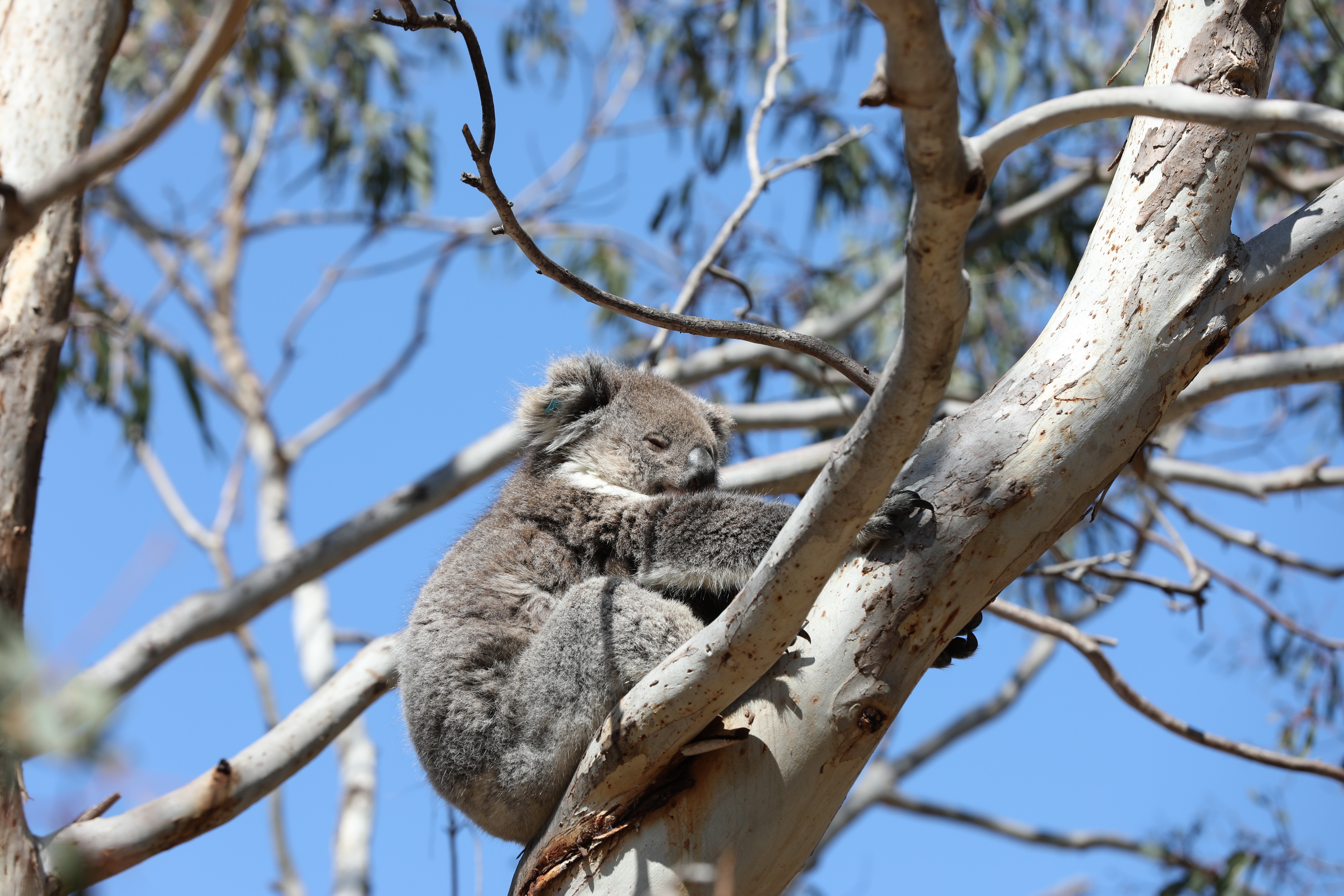 2019 10 01 10 37 28 Canon EOS 5D Mark IV 0006